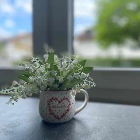 Lejlighed Alpenliebe