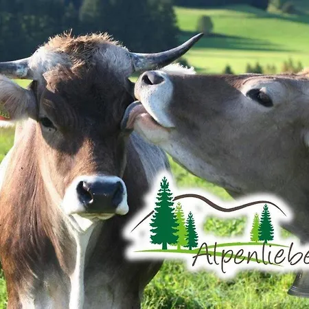 Lejlighed Alpenliebe *
